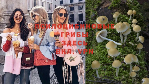 соль ск Белокуриха