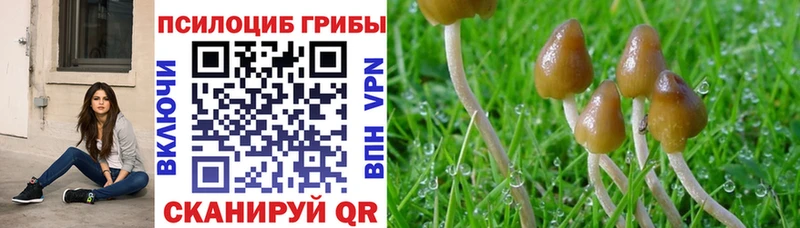 площадка Telegram  Тотьма  Галлюциногенные грибы Psilocybe  купить наркоту  kraken как войти 